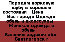 Породам норковую шубу в хорошем состоянии › Цена ­ 50 000 - Все города Одежда, обувь и аксессуары » Женская одежда и обувь   . Калининградская обл.,Светлогорск г.